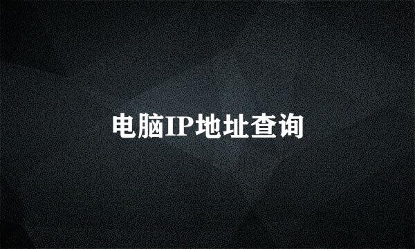 电脑IP地址查询