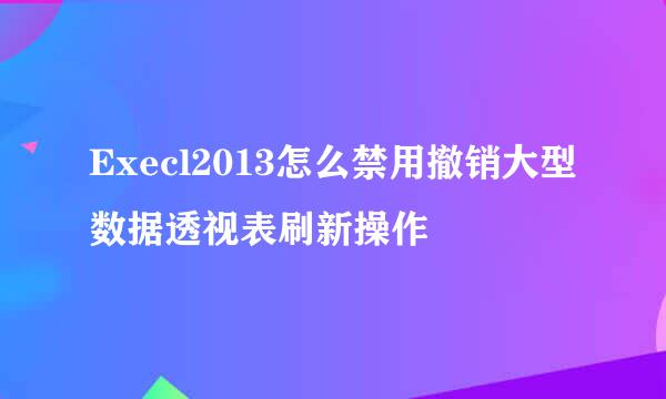 Execl2013怎么禁用撤销大型数据透视表刷新操作