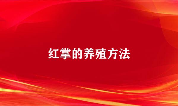 红掌的养殖方法