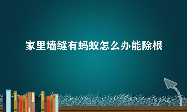 家里墙缝有蚂蚁怎么办能除根