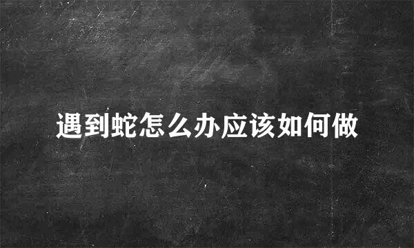遇到蛇怎么办应该如何做