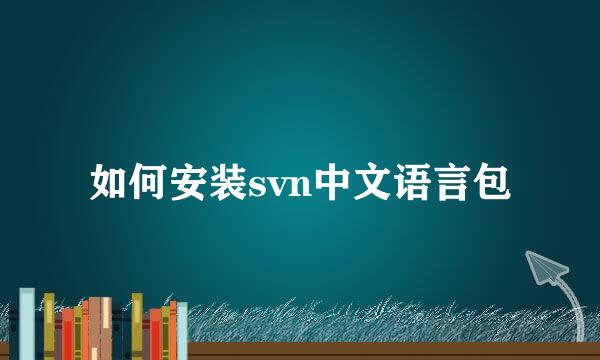 如何安装svn中文语言包