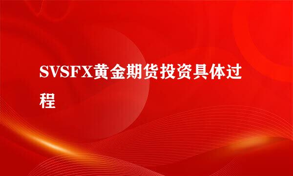 SVSFX黄金期货投资具体过程