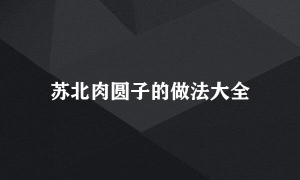 苏北肉圆子的做法大全