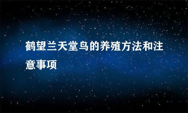 鹤望兰天堂鸟的养殖方法和注意事项
