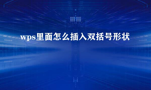 wps里面怎么插入双括号形状