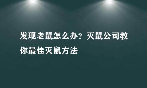 发现老鼠怎么办？灭鼠公司教你最佳灭鼠方法