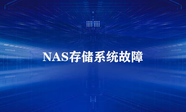 NAS存储系统故障