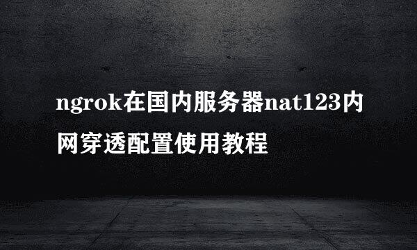 ngrok在国内服务器nat123内网穿透配置使用教程