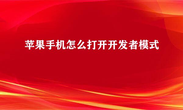 苹果手机怎么打开开发者模式