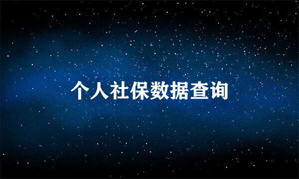 个人社保数据查询