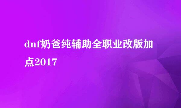 dnf奶爸纯辅助全职业改版加点2017