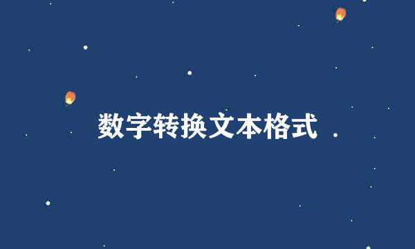 数字转换文本格式