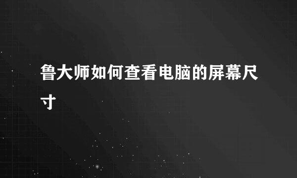 鲁大师如何查看电脑的屏幕尺寸