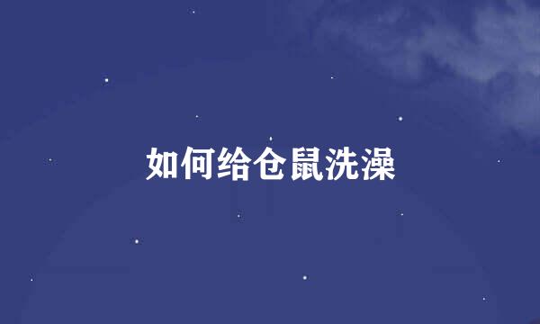 如何给仓鼠洗澡