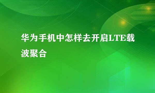 华为手机中怎样去开启LTE载波聚合