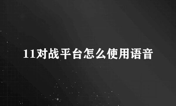 11对战平台怎么使用语音