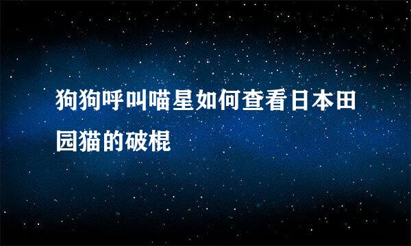 狗狗呼叫喵星如何查看日本田园猫的破棍
