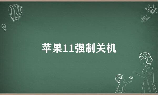 苹果11强制关机