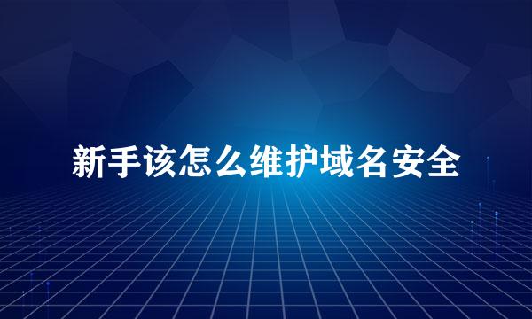 新手该怎么维护域名安全