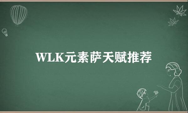 WLK元素萨天赋推荐