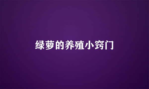 绿萝的养殖小窍门