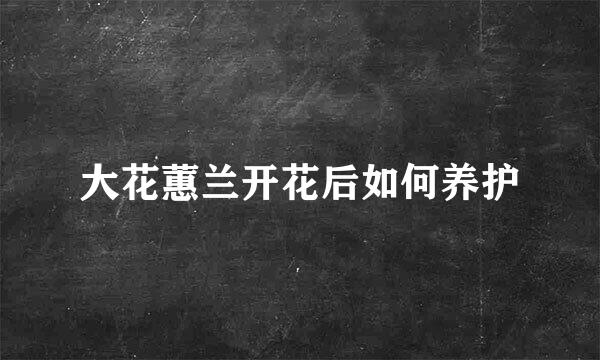大花蕙兰开花后如何养护