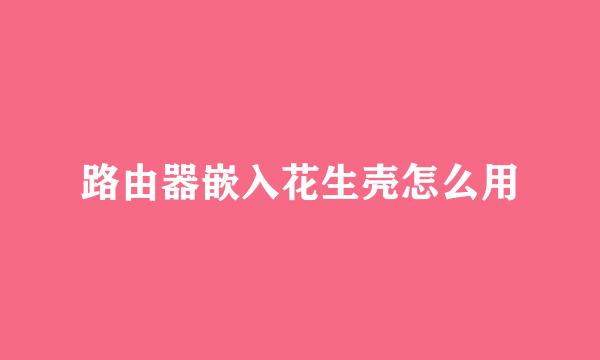 路由器嵌入花生壳怎么用