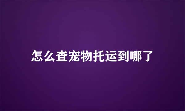 怎么查宠物托运到哪了