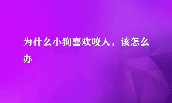 为什么小狗喜欢咬人，该怎么办