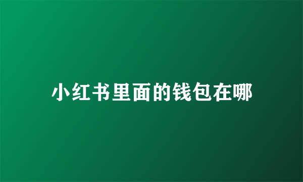 小红书里面的钱包在哪