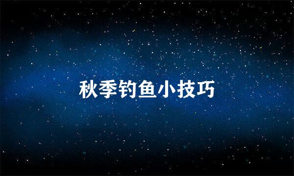 秋季钓鱼小技巧