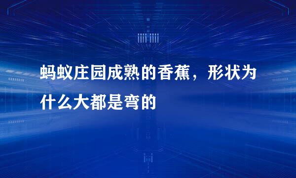 蚂蚁庄园成熟的香蕉，形状为什么大都是弯的
