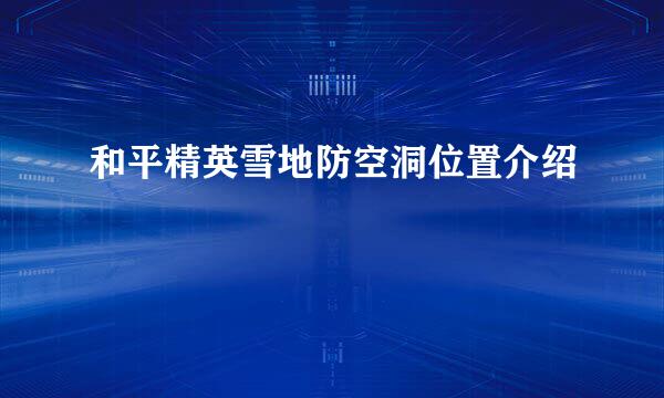 和平精英雪地防空洞位置介绍