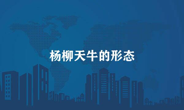 杨柳天牛的形态