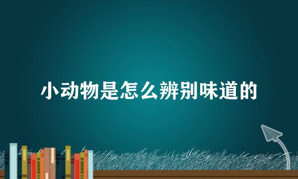 小动物是怎么辨别味道的