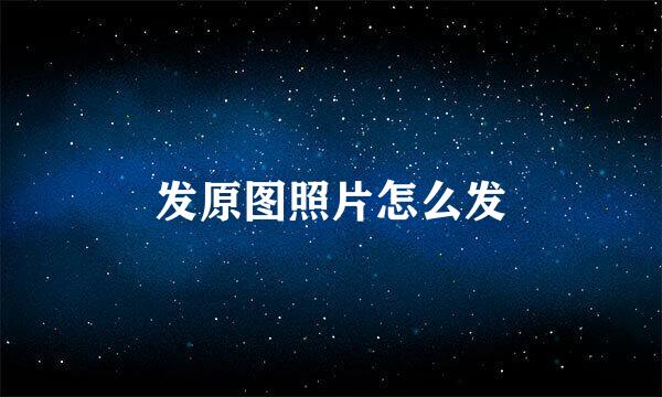 发原图照片怎么发