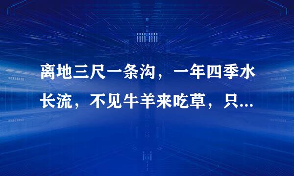 离地三尺一条沟，一年四季水长流，不见牛羊来吃草，只见和尚来洗头。请问这首诗是什么意思呢