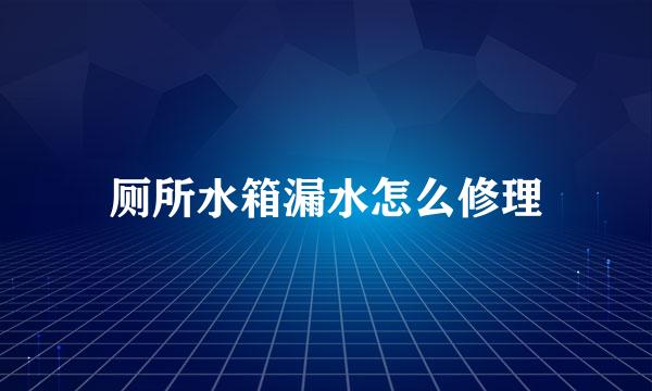 厕所水箱漏水怎么修理