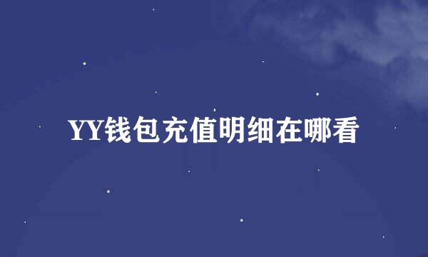 YY钱包充值明细在哪看
