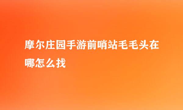 摩尔庄园手游前哨站毛毛头在哪怎么找