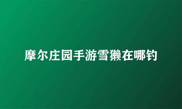 摩尔庄园手游雪獭在哪钓