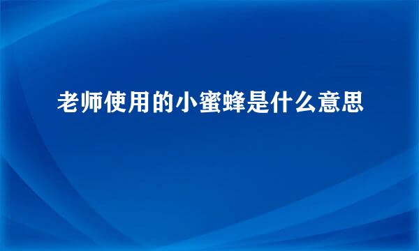 老师使用的小蜜蜂是什么意思
