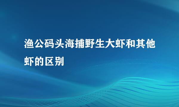渔公码头海捕野生大虾和其他虾的区别
