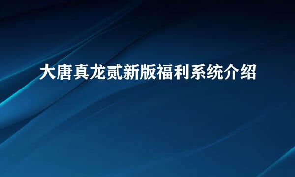 大唐真龙贰新版福利系统介绍