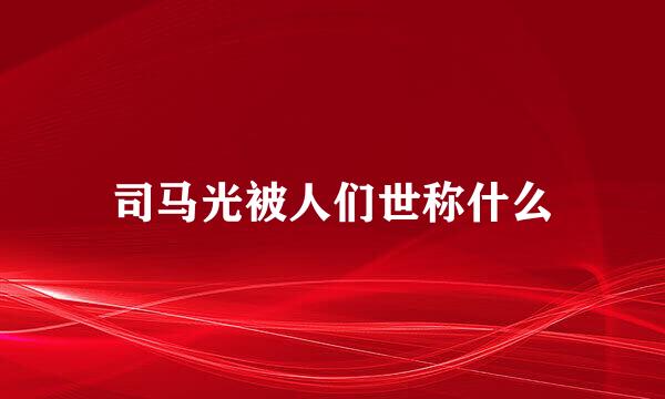司马光被人们世称什么