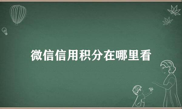 微信信用积分在哪里看