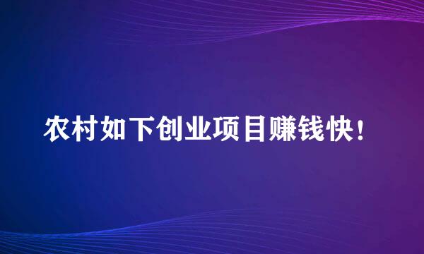 农村如下创业项目赚钱快！