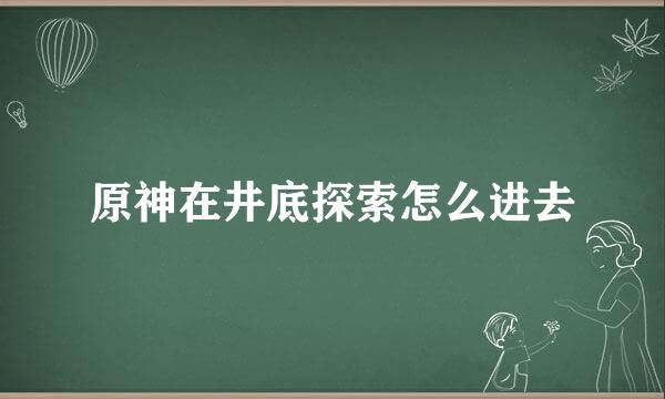 原神在井底探索怎么进去