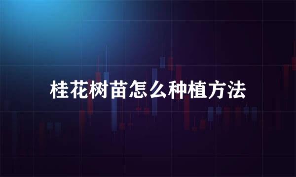 桂花树苗怎么种植方法